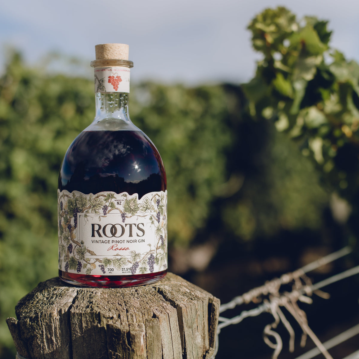 Bottle of 'ROOTS' wine on a wooden post with vineyard background